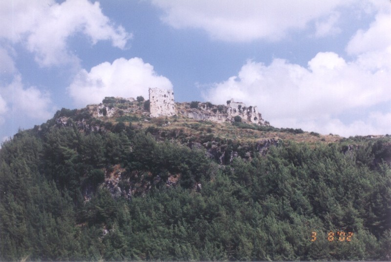 Cytadela Saladyna
